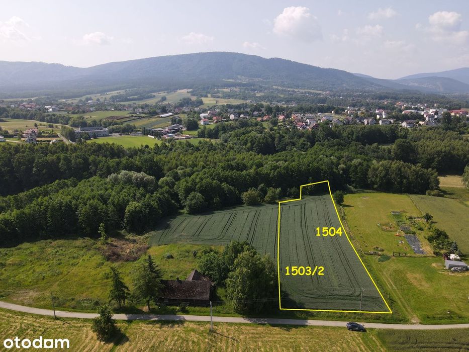 Sprzedam działkę budowlano - rolną 4724 w Czańcu.