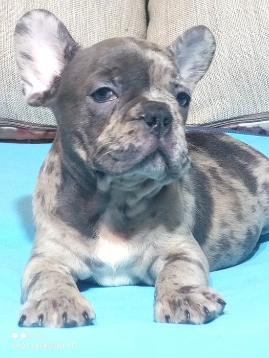 Маленькие непоседы.