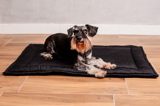 Wysokiej jakości legowisko dla psa mata Mimiko Pets 100x70cm czarna