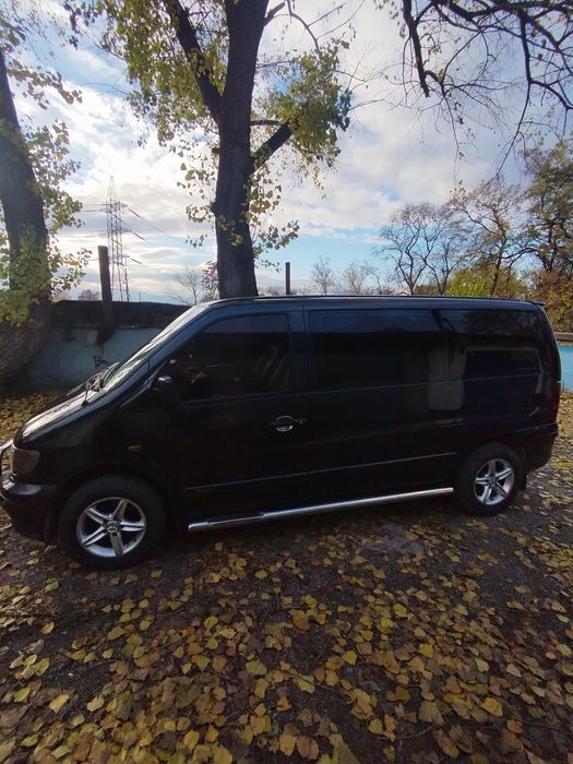 Вито в хорошем состоянии