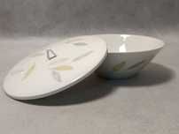Rosenthal Form 2000 Waza Terryna Modern Niemcy