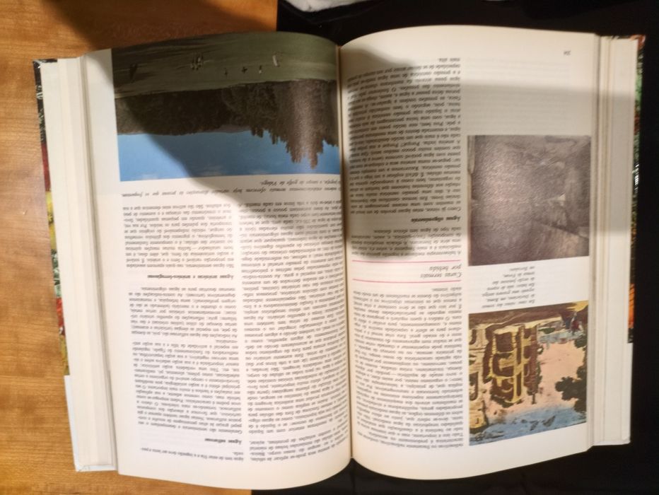 O Livro da Mulher, ano de 1971