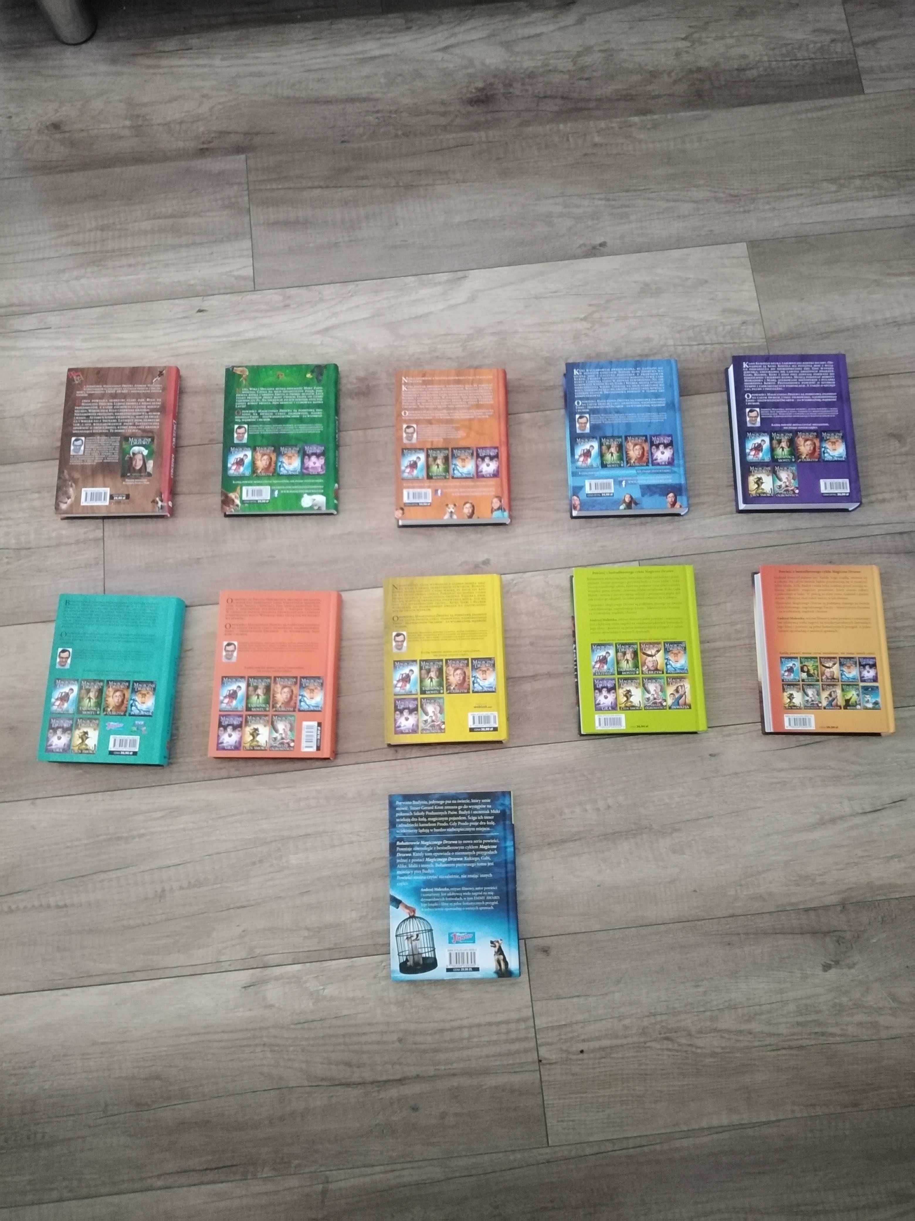 Książki Magiczne Drzewo JAK NOWE