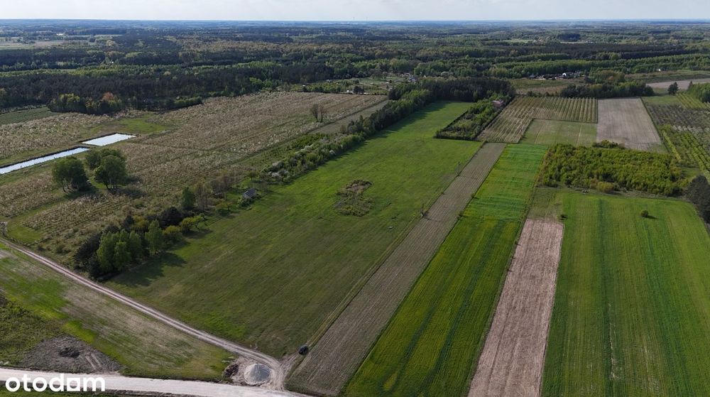 Działka 5,2 ha na sprzedaż BEZPOŚREDNIO! 40 minut od Warszawy!