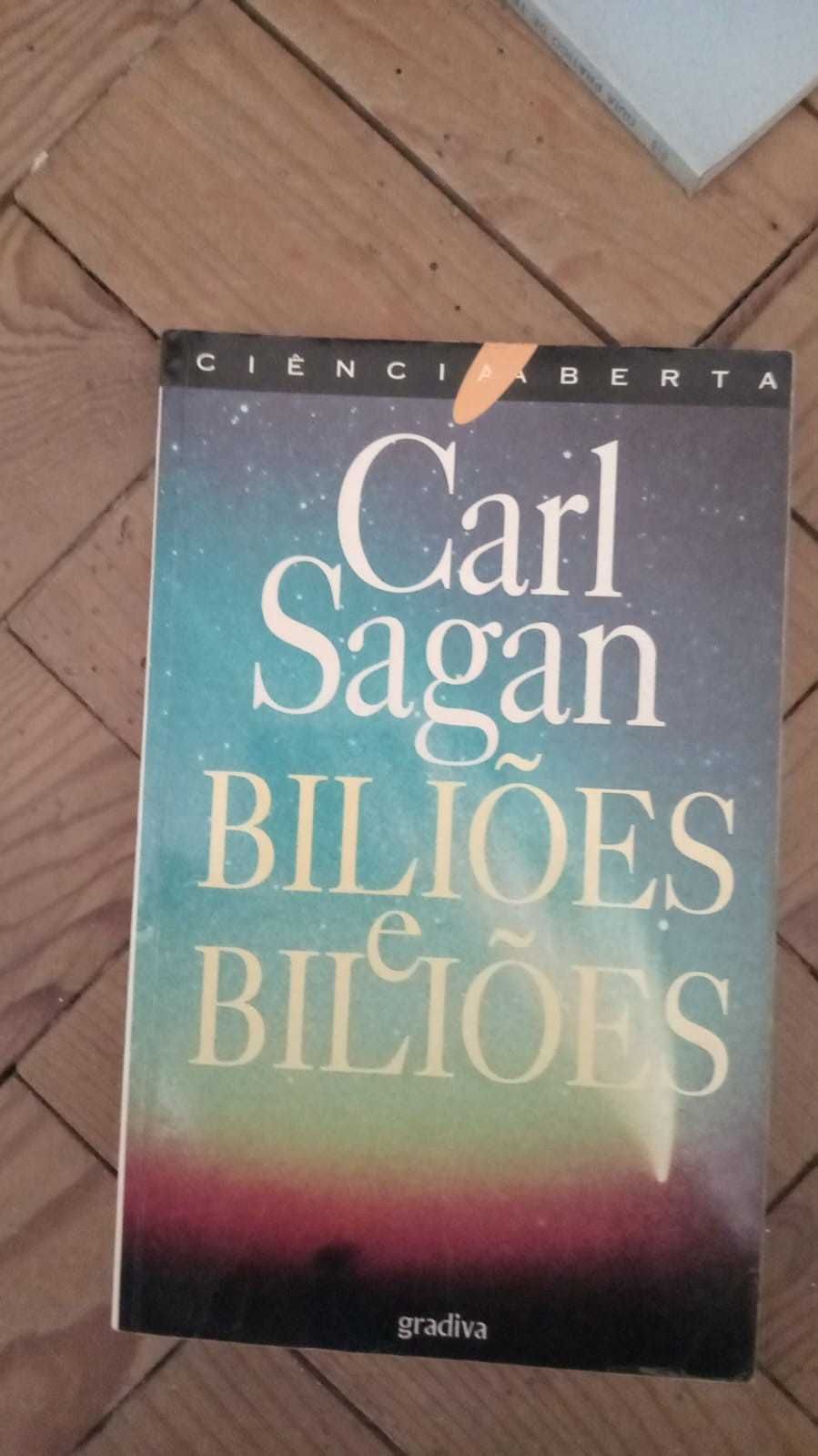 Livros  de Richard Bach, Pearl Buck e Carl Sagan a 5 euros cada um.
