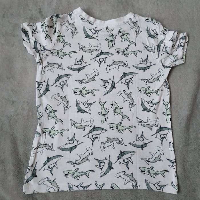 Koszulka Rekiny Sinsay 110