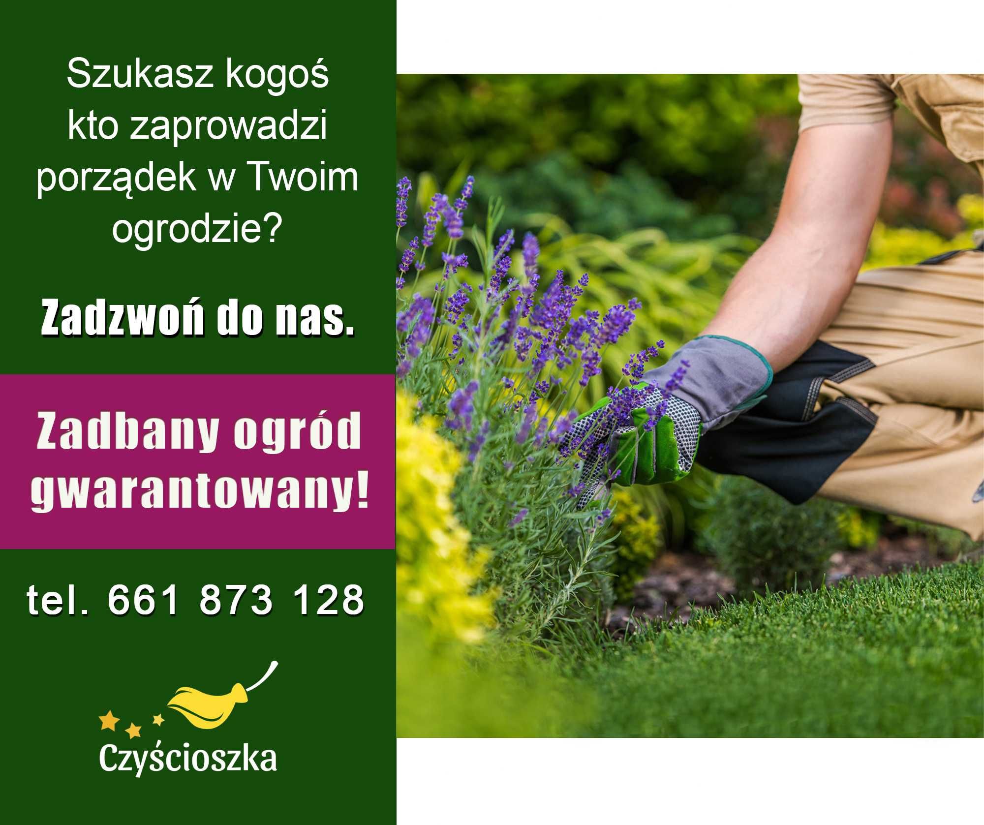 Sprzątanie mieszkań/ domów/ biur/ mycie okien pranie dywanów tapicerki