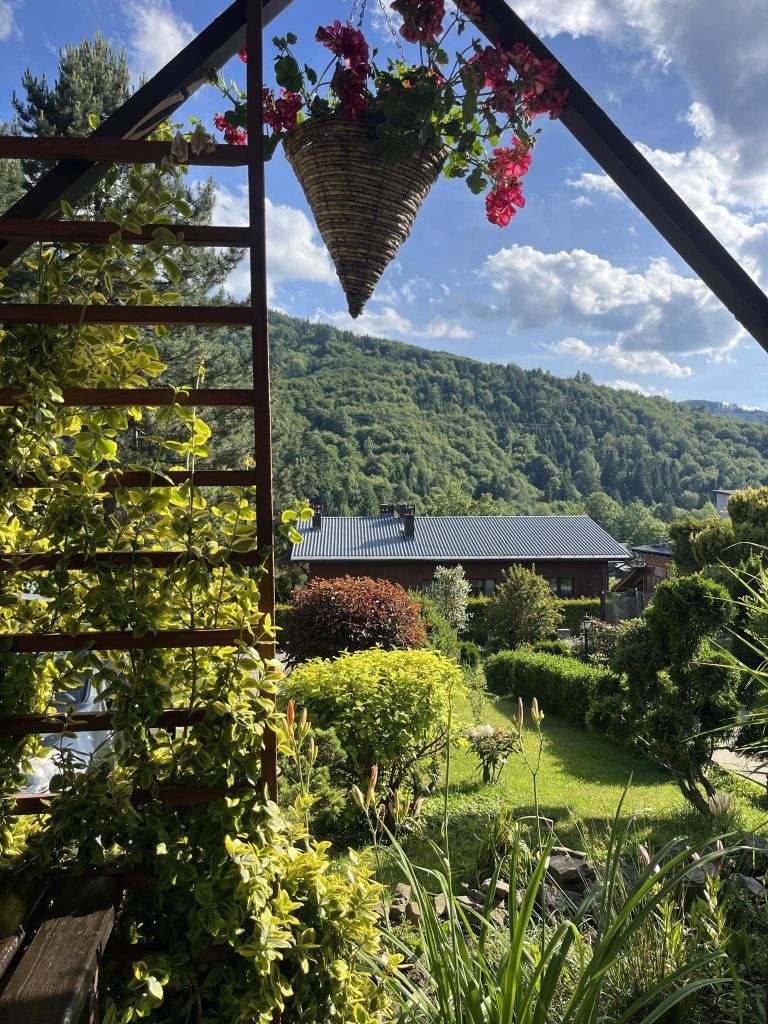 Apartament z widokiem na góry