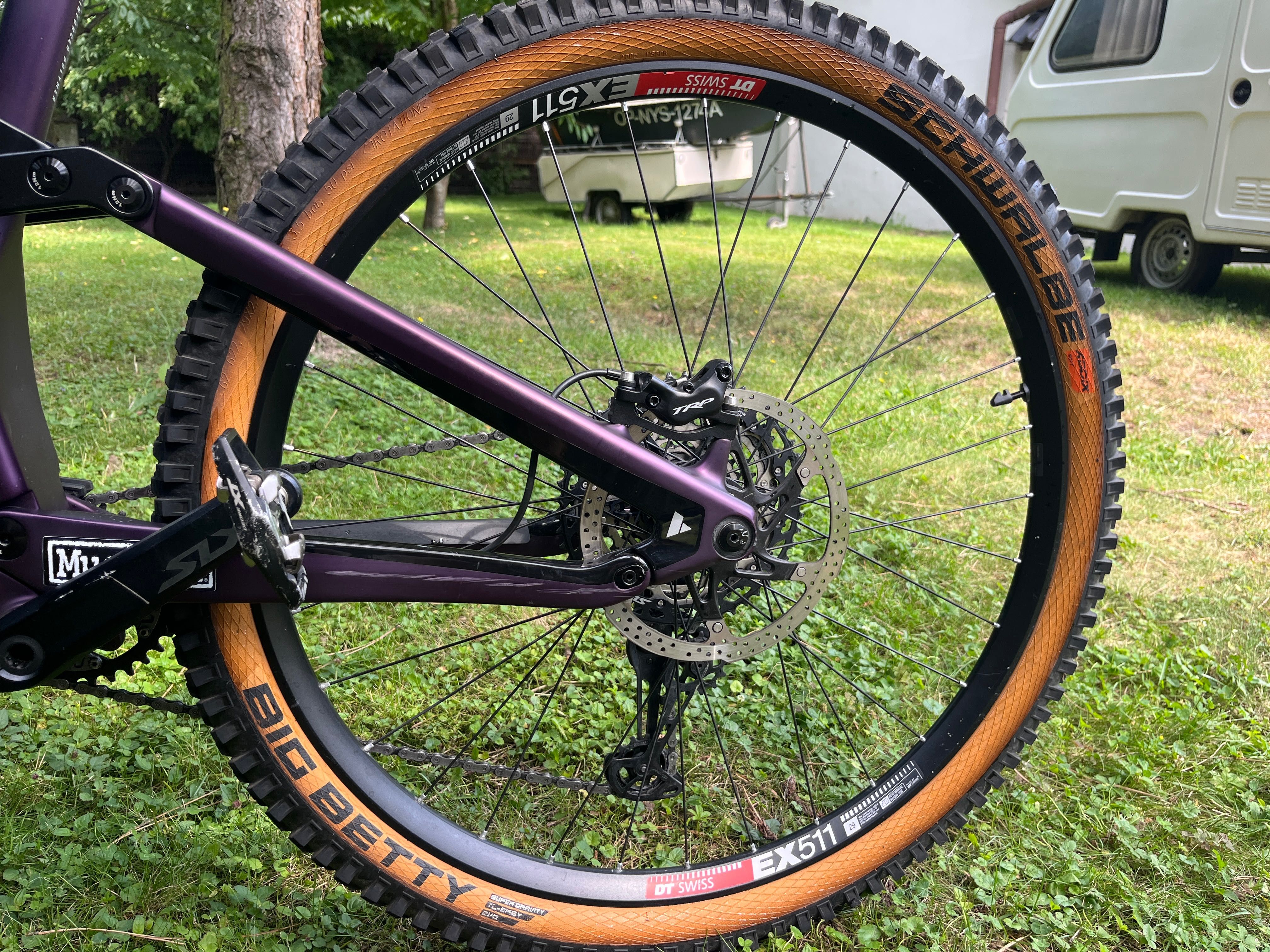 Bulls Wild creed RS XL 29”