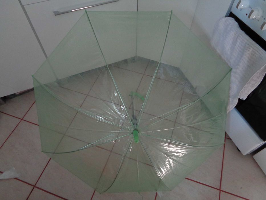 Parasol transparentny zielony