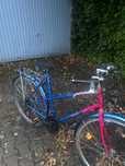 Rower damski lub meski