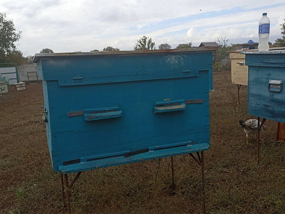 Продам вулики