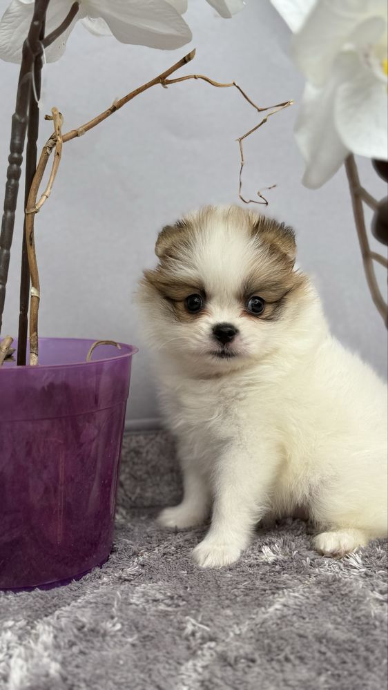 Мультяшний хлопчик