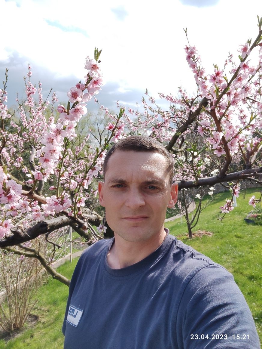 Обрізка плодових дерев і виноградників