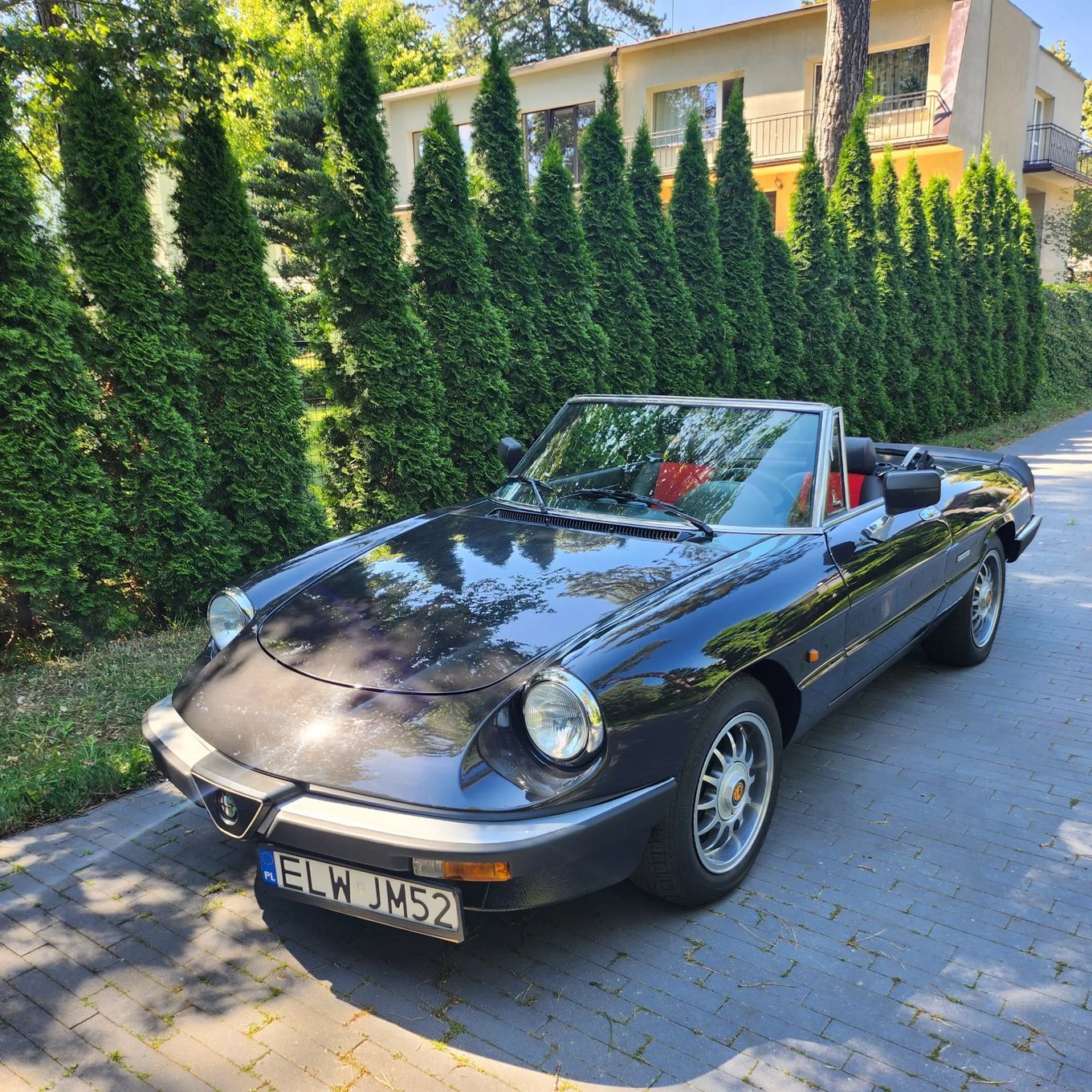 Alfa Romeo Spider Alfa Romeo Spider
