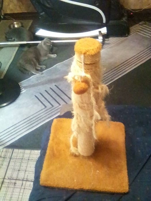 Когтеточка для котов