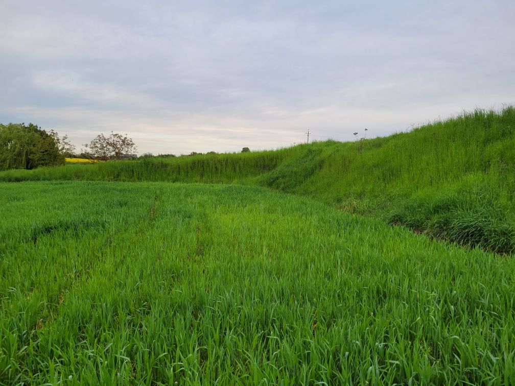 Grudziądz. Działki  1000 m2 z Warunkami Zabudowy