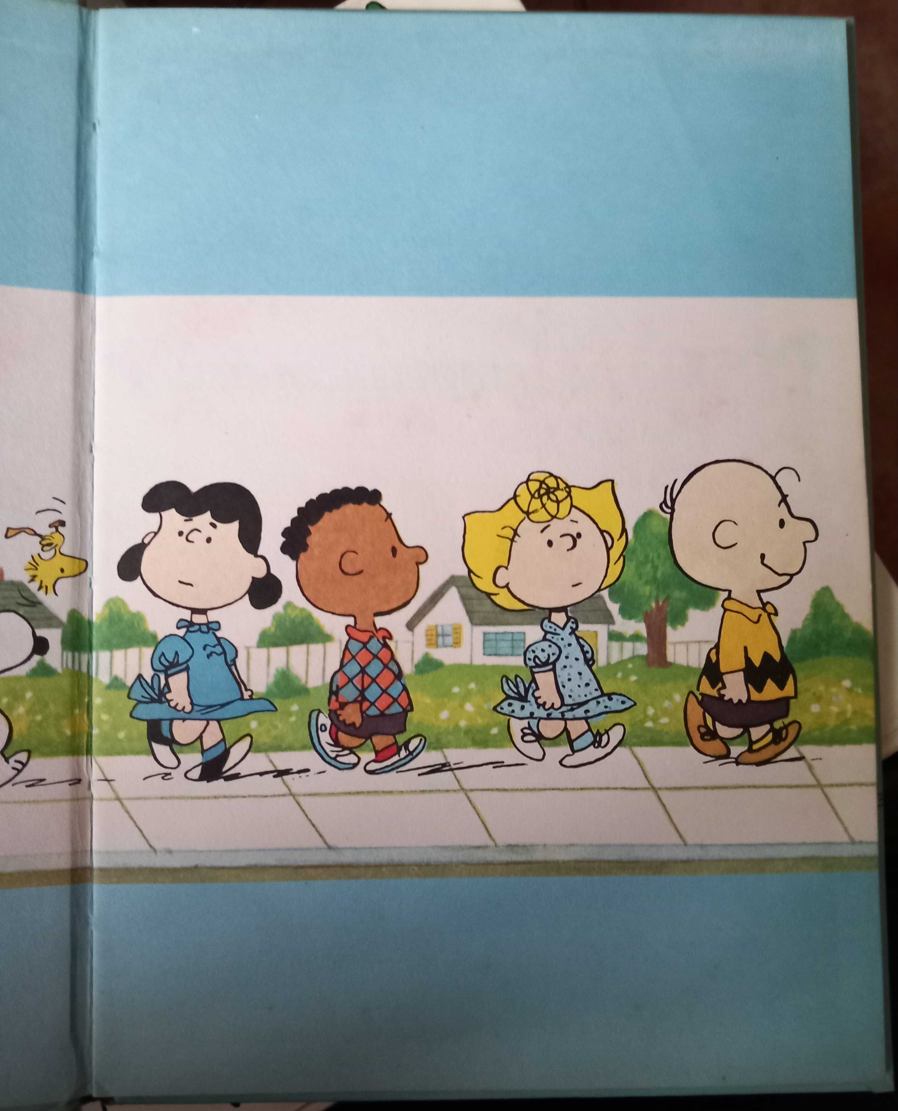 Não há Tempo para Amar, Charlie Brown - Snoopy - portes incluídos