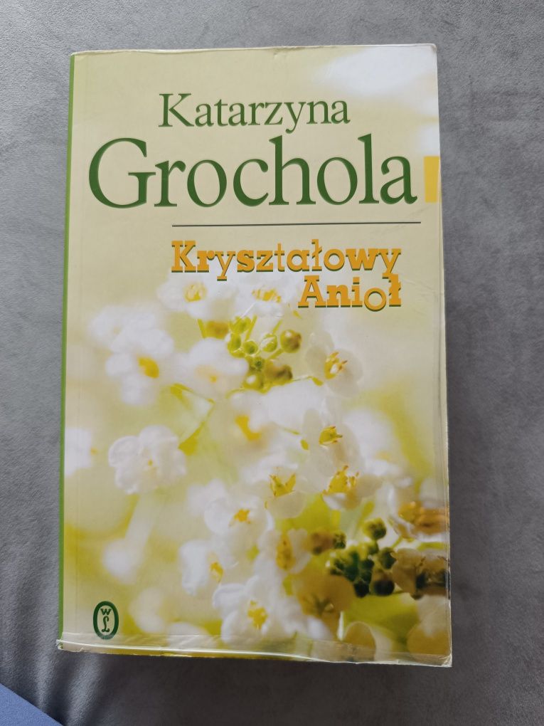 Katarzyna Grochola  "Kryształowy anioł"