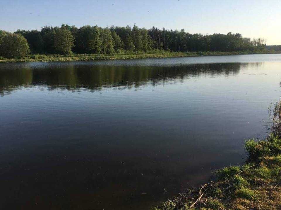 Domki letniskowe Leśny Zakątek, Zalew Niewiadoma 100 km od Warszawy