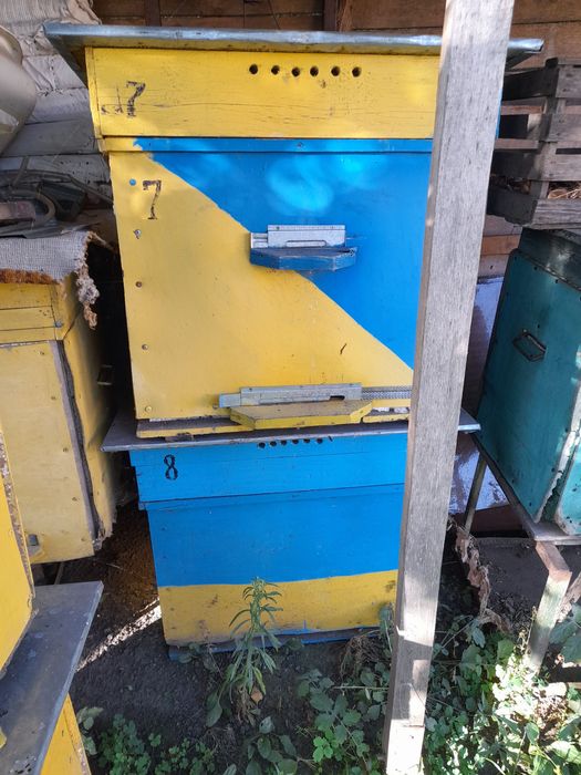 продам вулик для бджіл