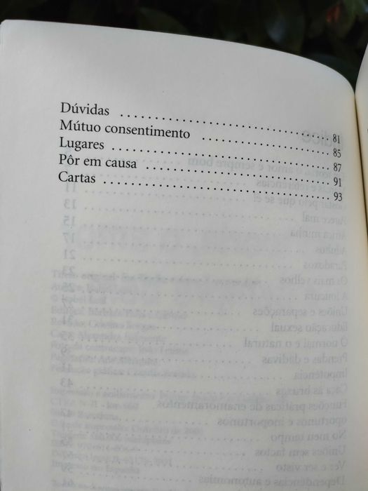 Em teoria, o amor é sempre bom (Isabel Leal)