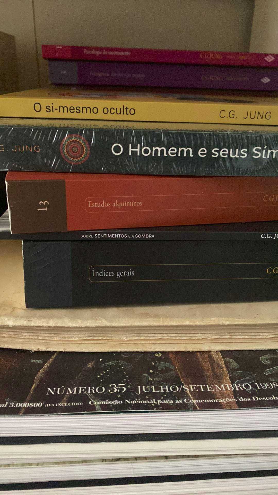 Carl Jung. Restam poucas unidades - Preços baixos!