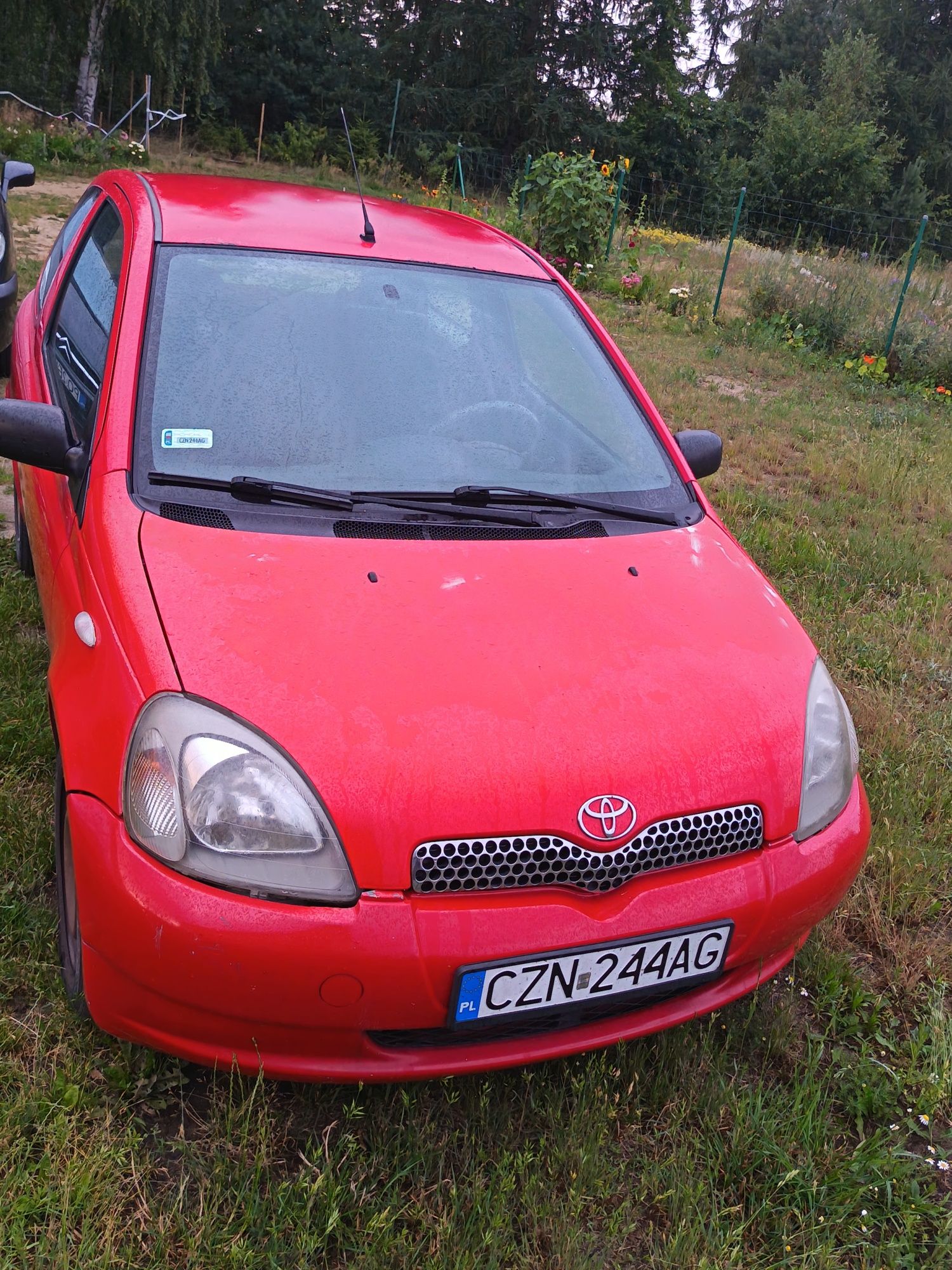 Toyota Yaris 2003