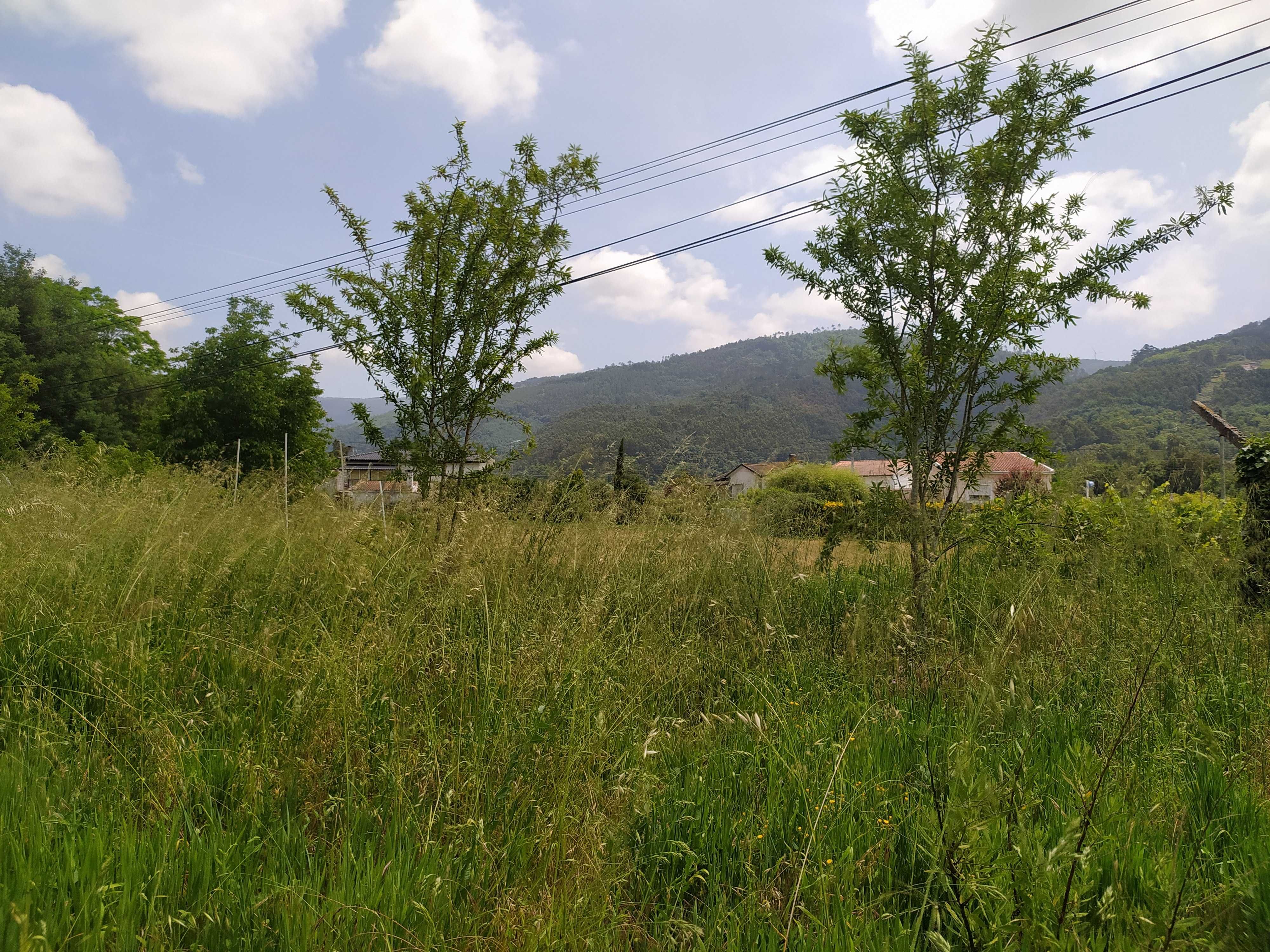 Vendo Terreno Agrícola na Lousã