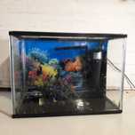 Aquario completo