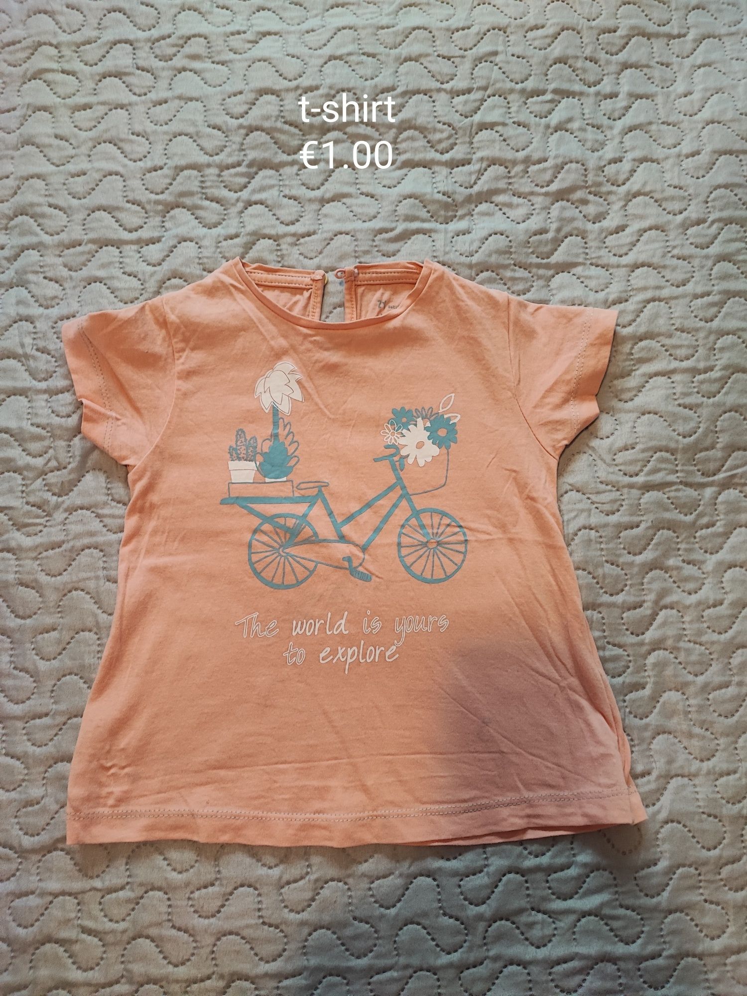 T-shirts  e vestidos menina