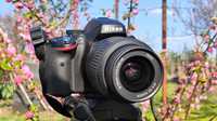 Nikon D5100 Новый 900-Фото Сумка SD Фотик Зеркальный Фотоаппарат