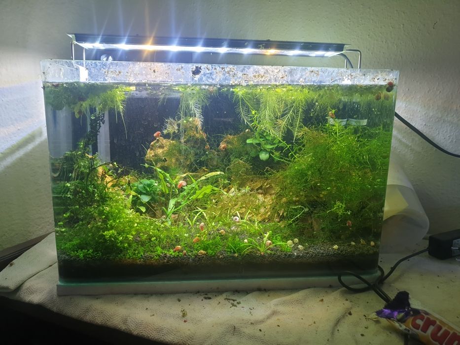 Aquario nano completo