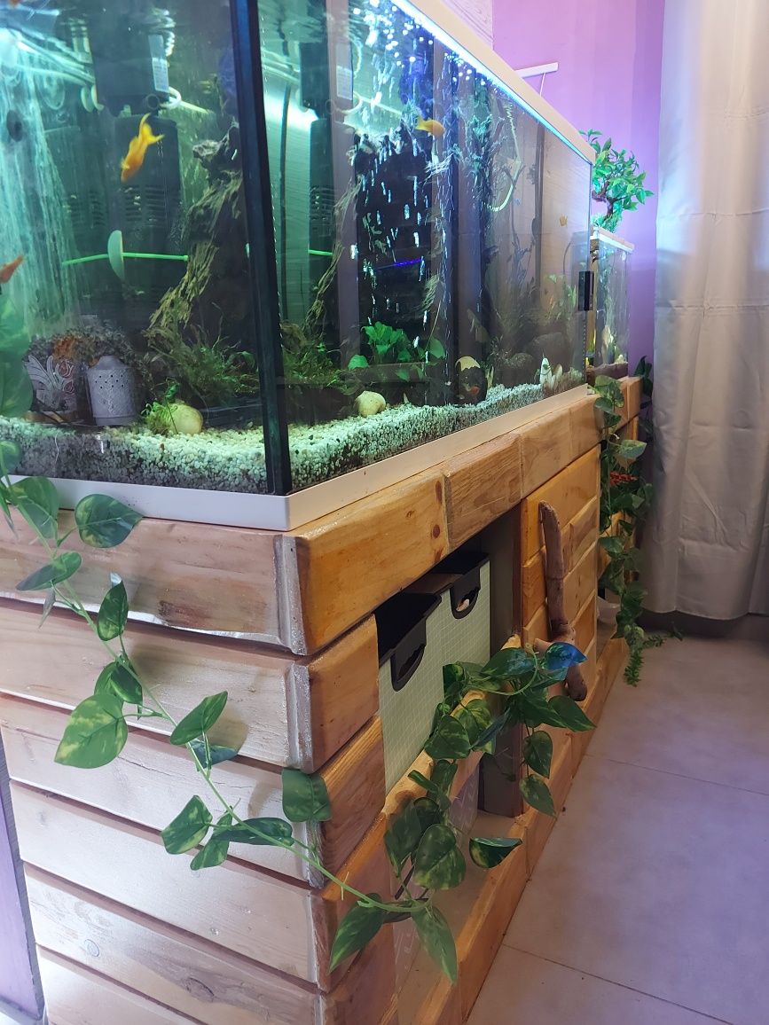 Aquario de 250L completo, 1 de 50l e outro de 32l com peixes e etc