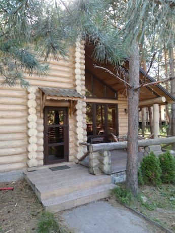 Деревянный домик с баней и купелью для семейного отдыха