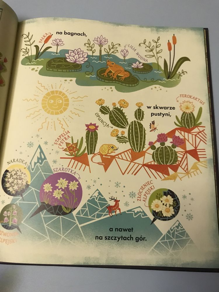 Co się kryje w kwiatku? Fascynujące ciekawostki Rachel Ignotofsky