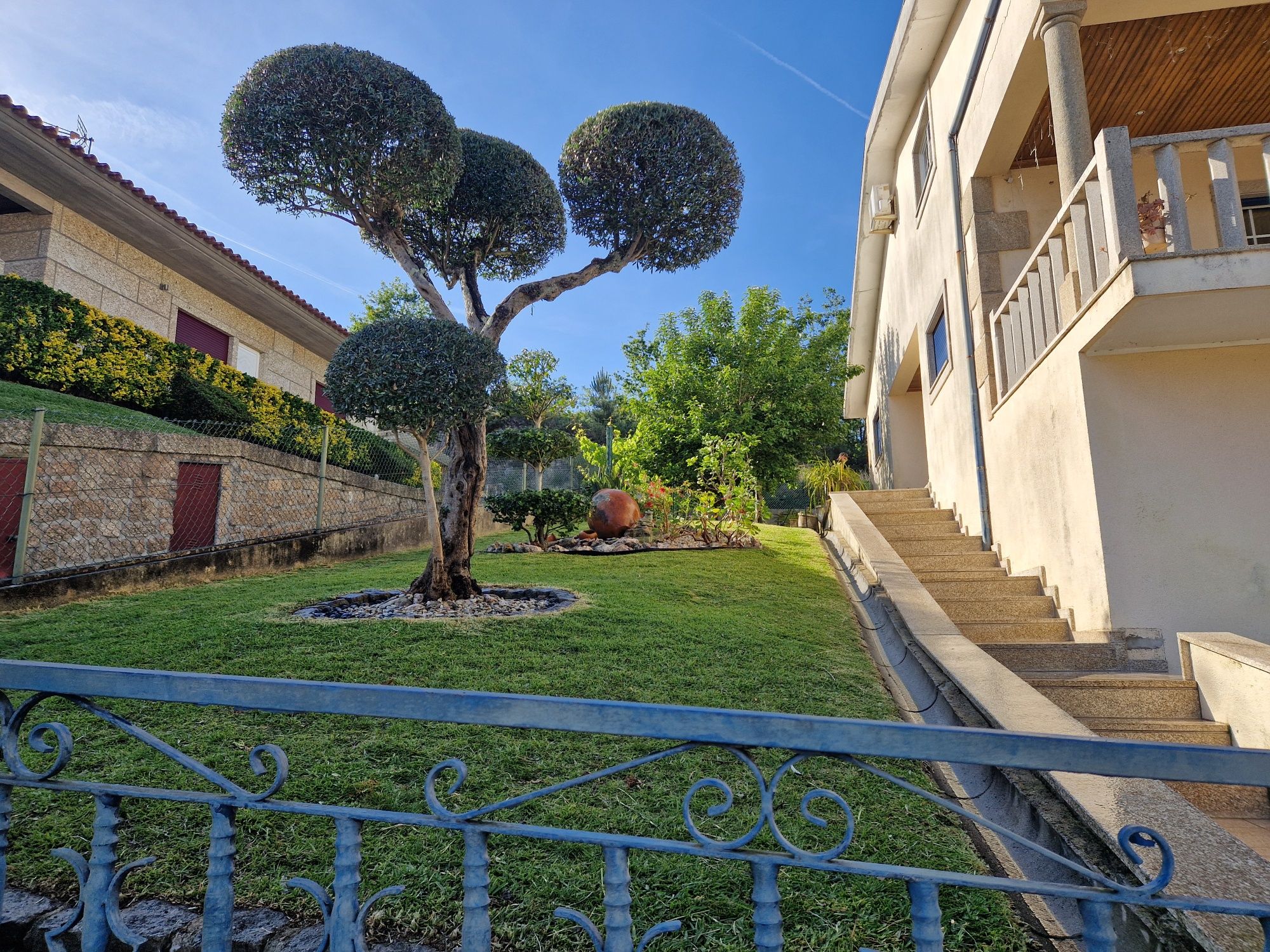 Todo o tipo de serviços de jardinagem e limpeza de terrenos