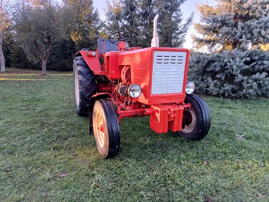 Władimirec T25 Władymirec t25 c330