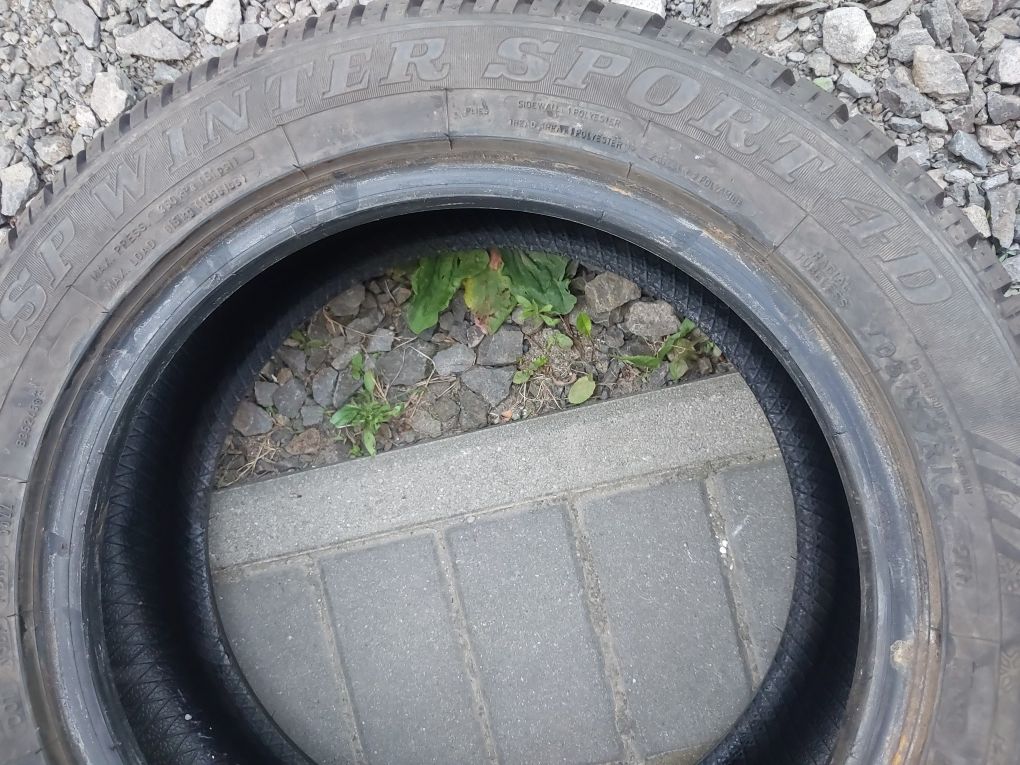 Dunlop Sp Winter Sport 4D 205/55R16 91 H