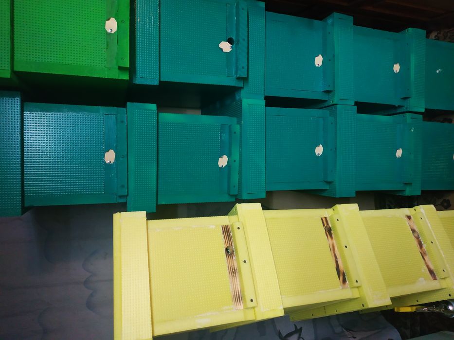 вулик з пінополістеролу на 6 рамок може бути як нуклеус  та ловушка)))