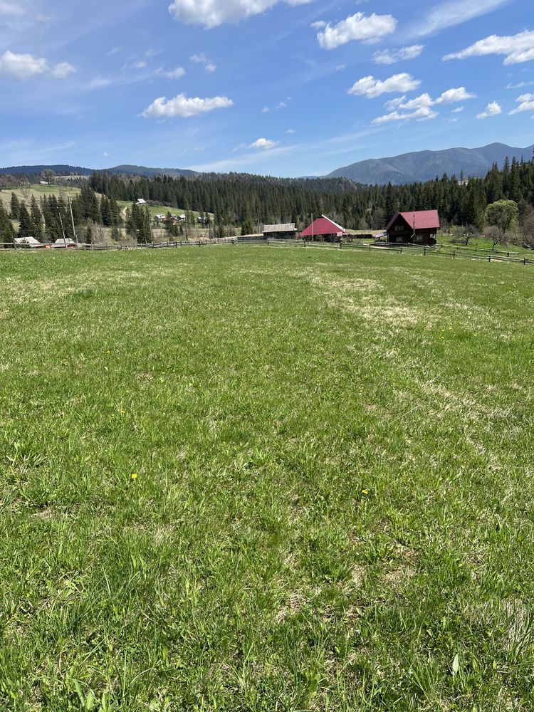 Земельна ділянка в Карпатах поруч з курортом Буковель.