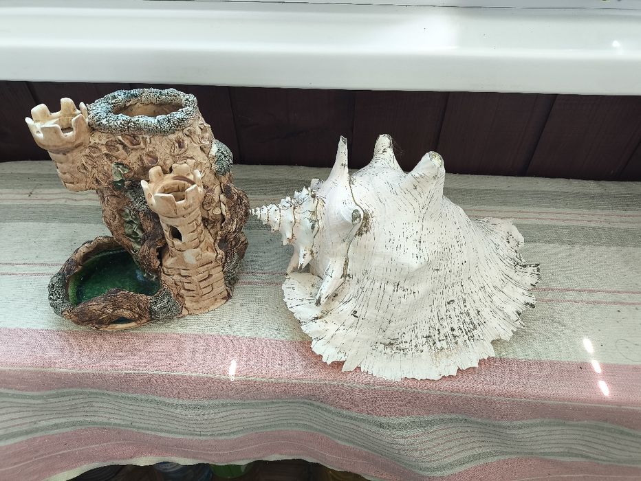 Продам грунт замок океанская большая ракушка