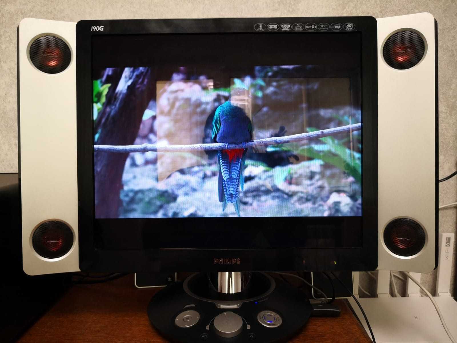Монитор Philips 190G6