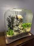 Vendo aquario biorb completo.