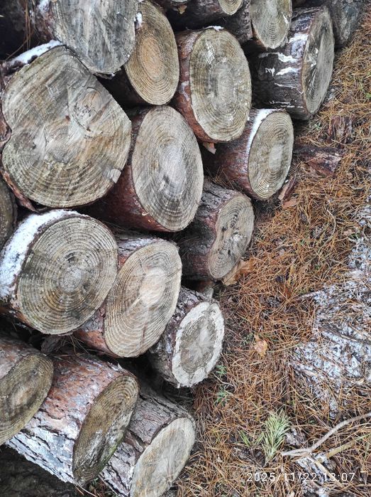 Drewno i opał na zimę