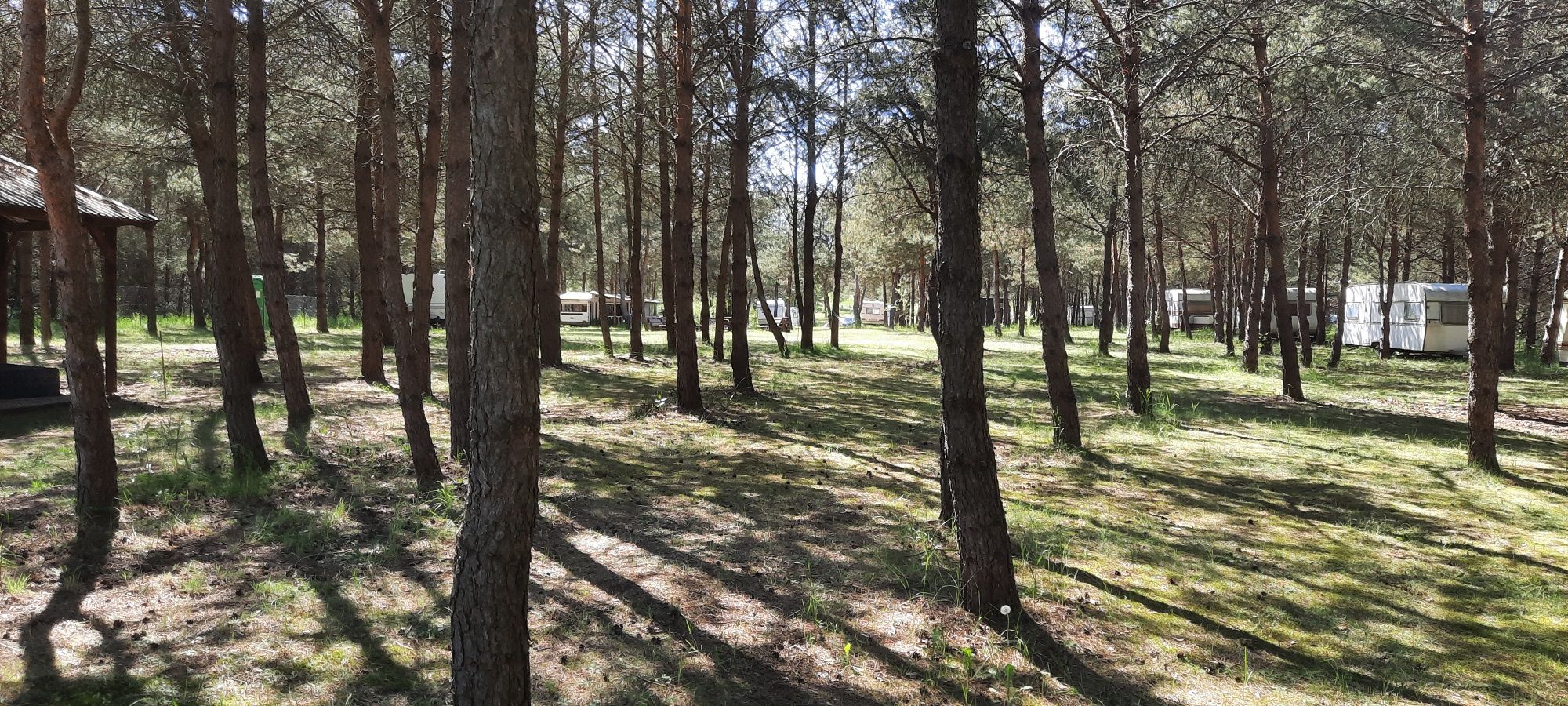 Pole biwakowe, namiotowe nad rzeką Piławą