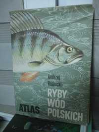 Ryby wód polskich atlas , Andrzej Rudnicki.