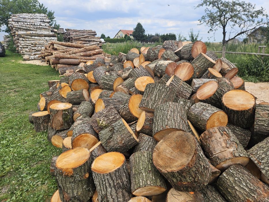 Drewno opalowe liściaste