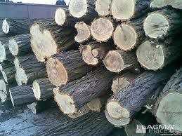 Дрова для отопления дома. Акация,ясень,берст,дуб.Доставка и выгрузка