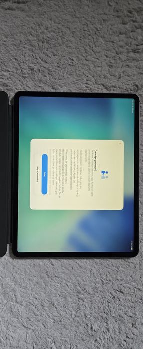 Ipad Pro 12,9 Cellular 256GB
